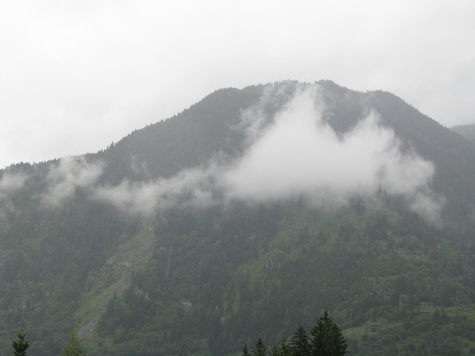 [IMG_0849.JPG]