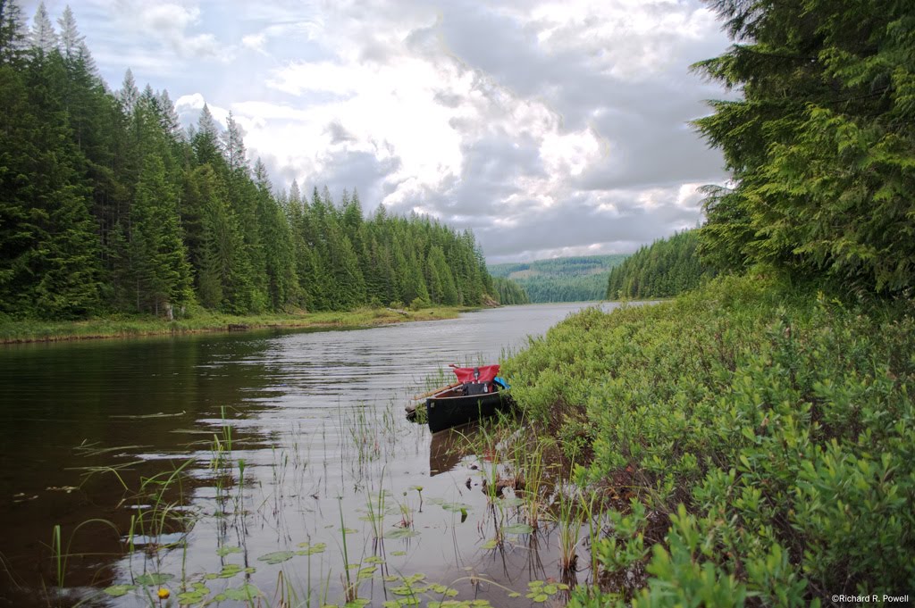 100 Lakes on Vancouver Island Blackwater Lake