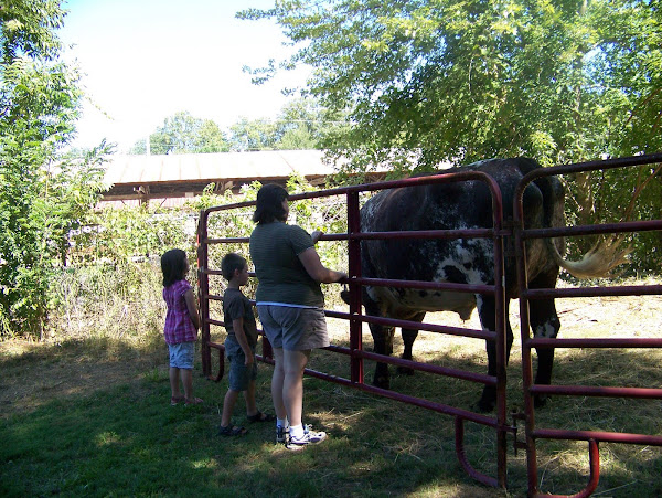 Visitors with Bullwinkle, the steer