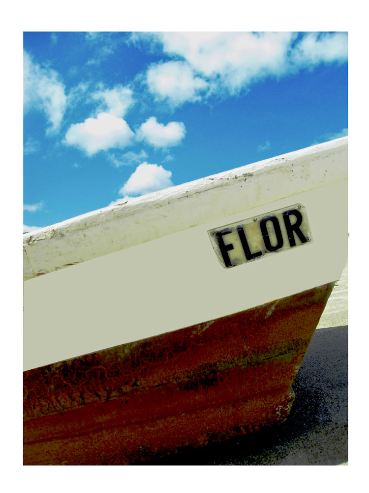 [flor.jpg]