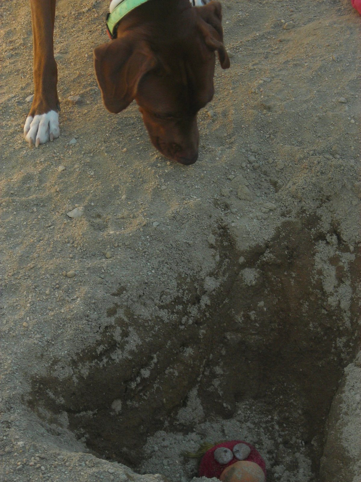 [Outubro2007+142.jpg]