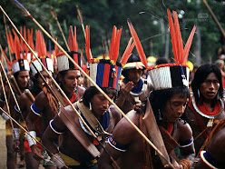 INDIOS YAWAWAS