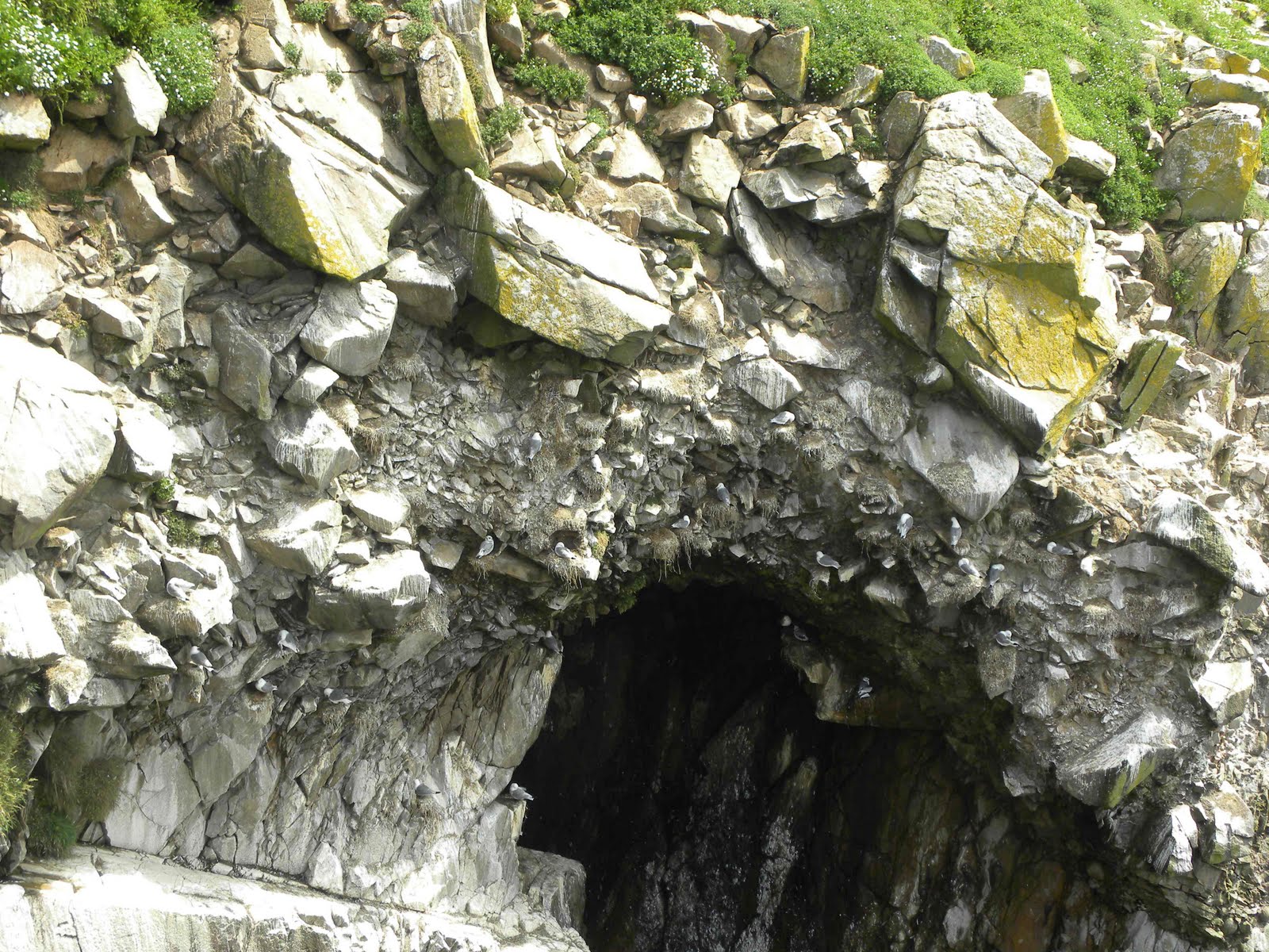 Saltee Islands Ireland