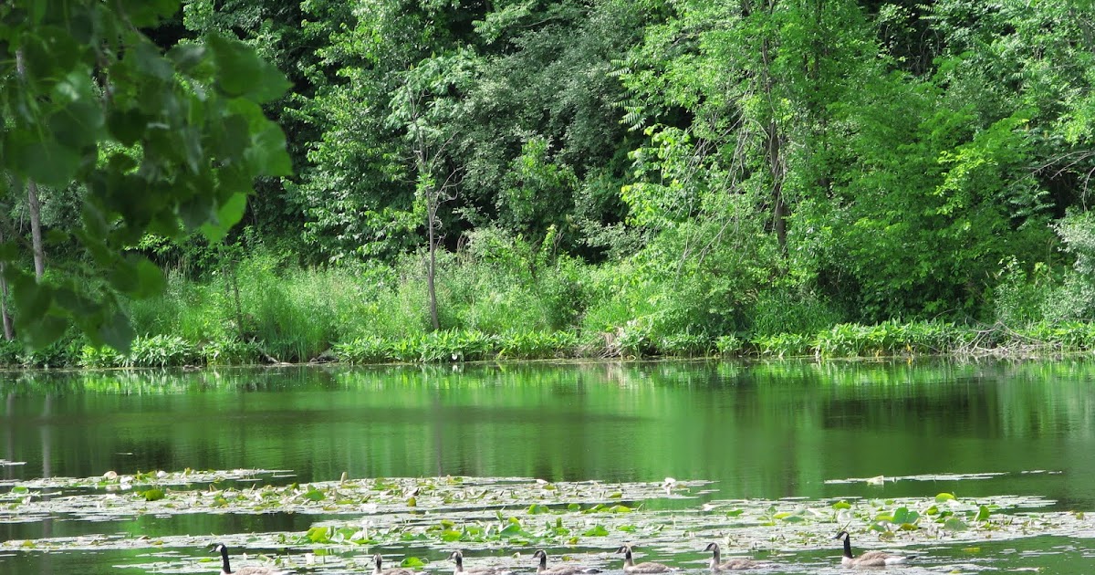 PL Fallin Photography Water Street Park, In Memory of the Boys