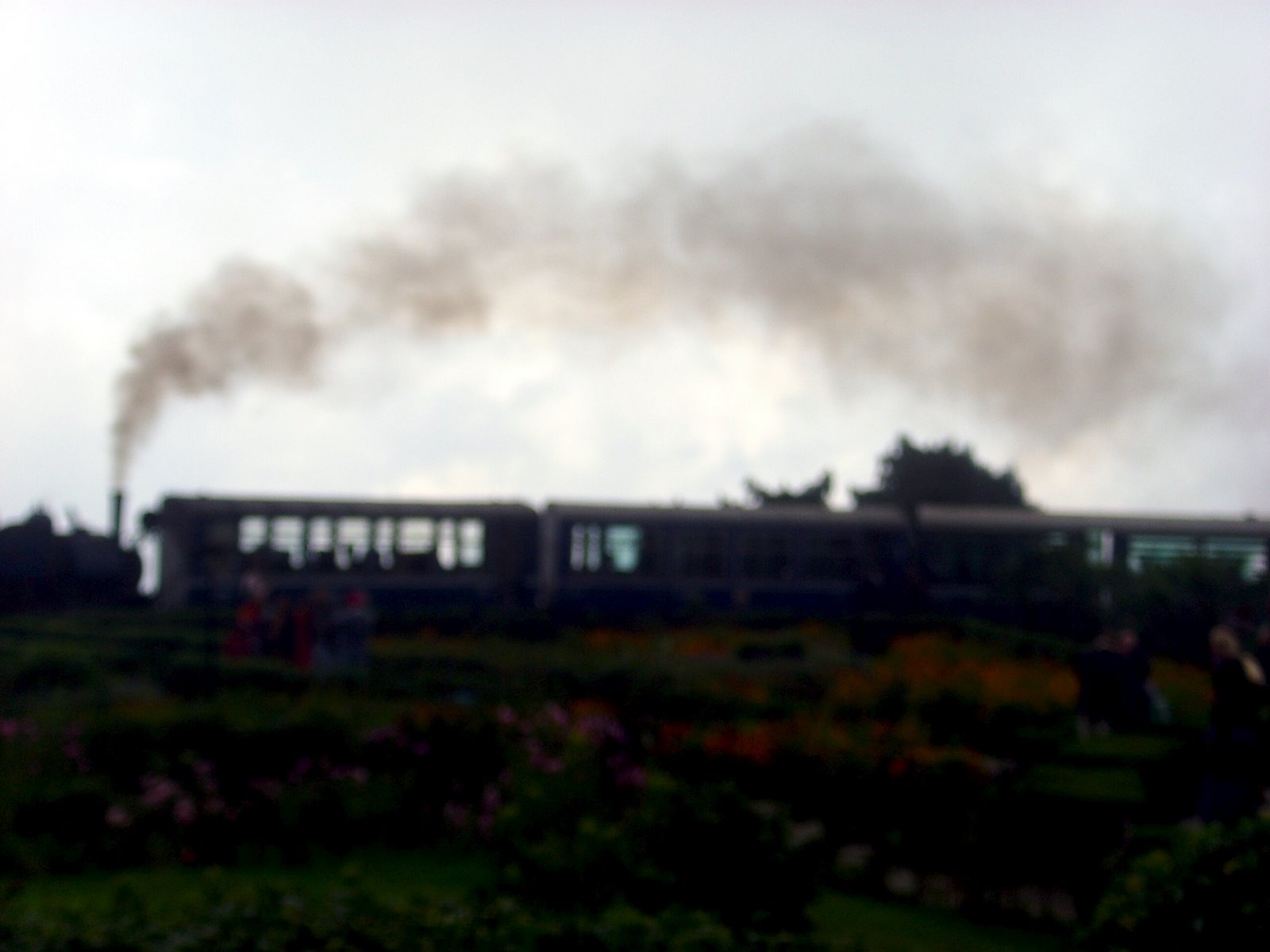 [Darjeeling+Toy+Train+Ride+Himalayan+Railway+Oct.4+08+(7).jpg]