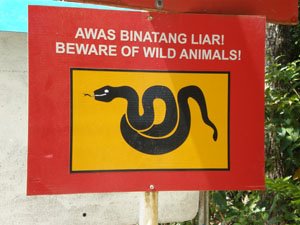 [Snake+Warning.JPG]