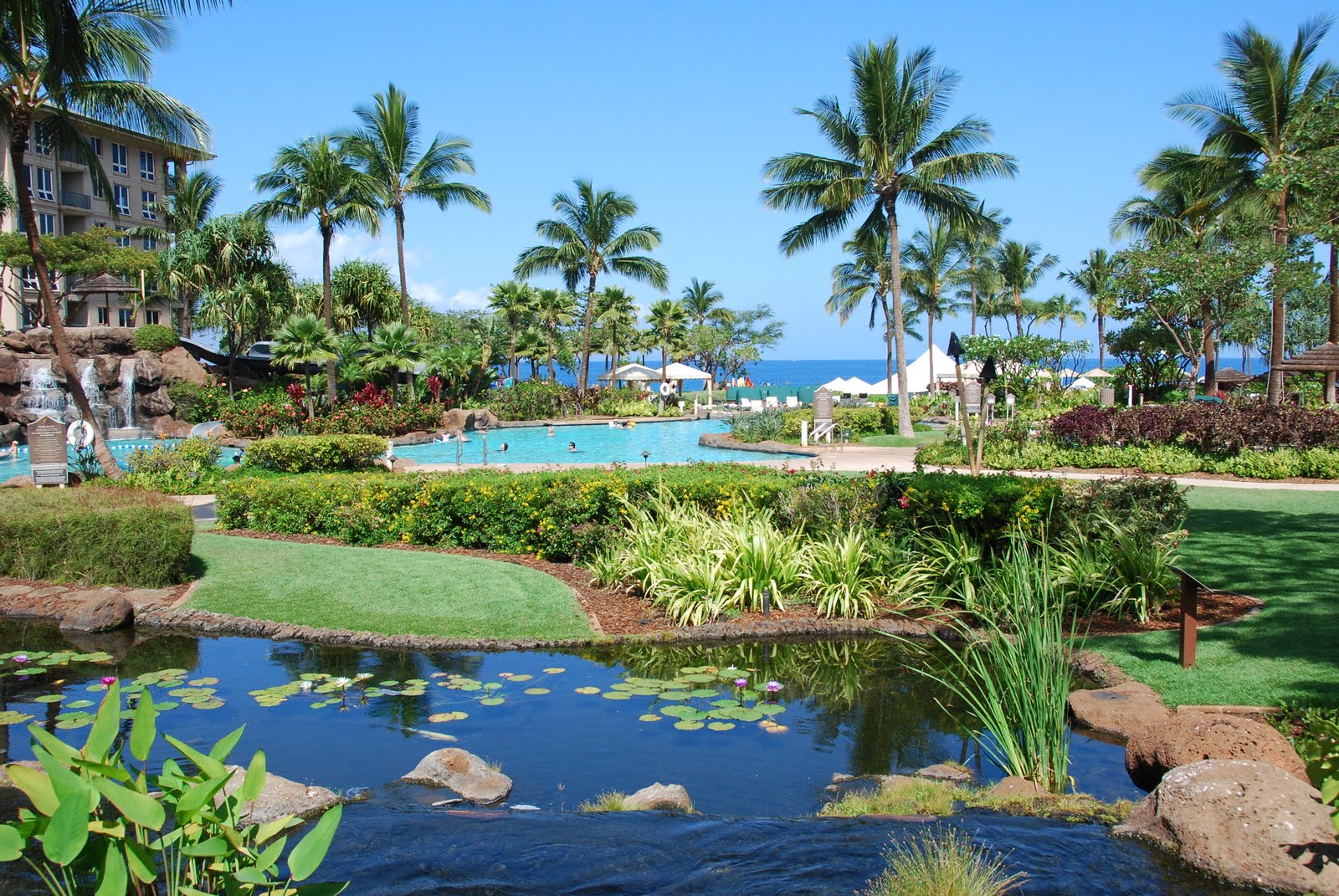 Maui Hyatt