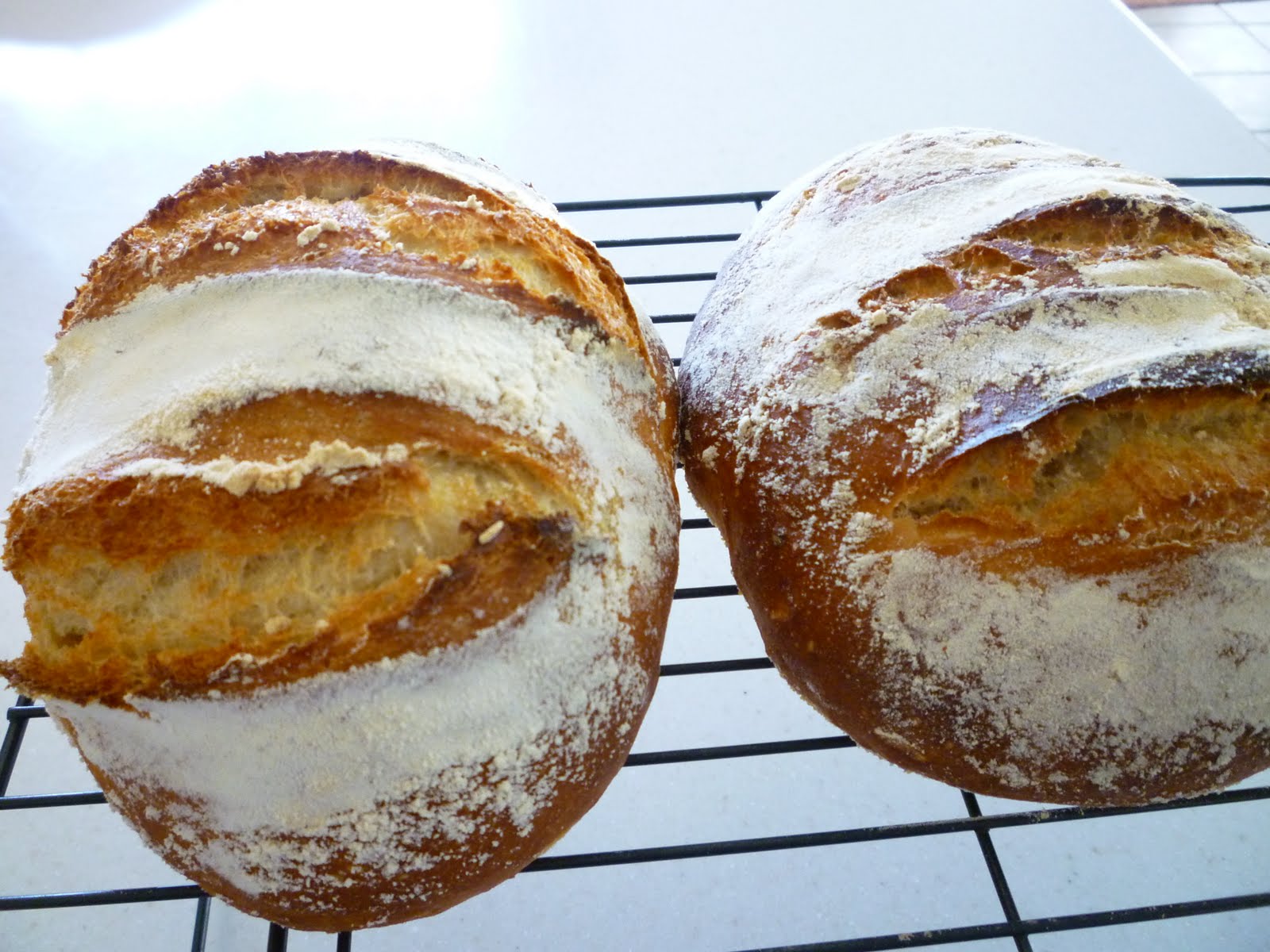 Amazing Meals Artisan Bread in Five Minutes a Day