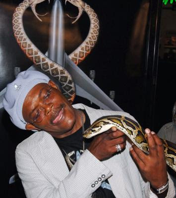 Python-snake