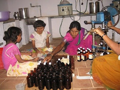 Cow Urine