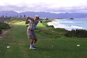 A typical golf view in Hawaii, 2002