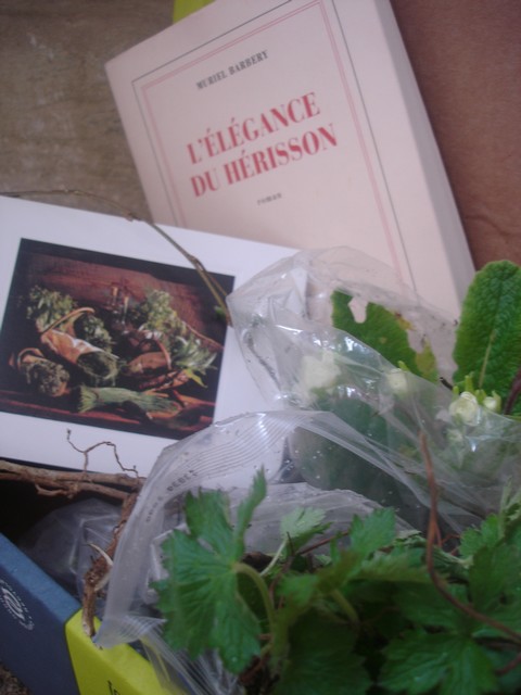[herisson.jpg]