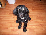 The newest member of our family