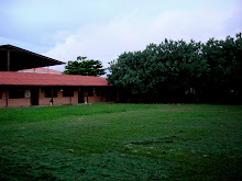 Our lil School Yard