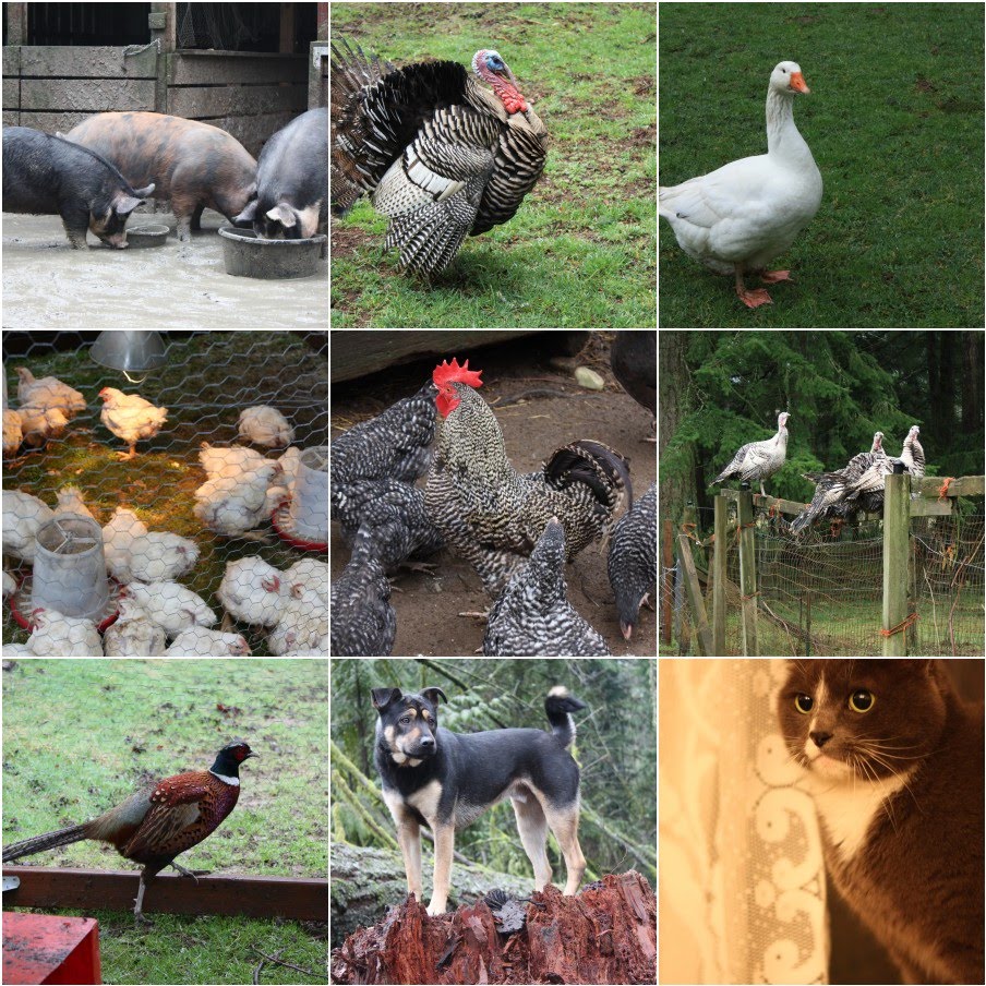 [DaveStanleyFarm.jpg]