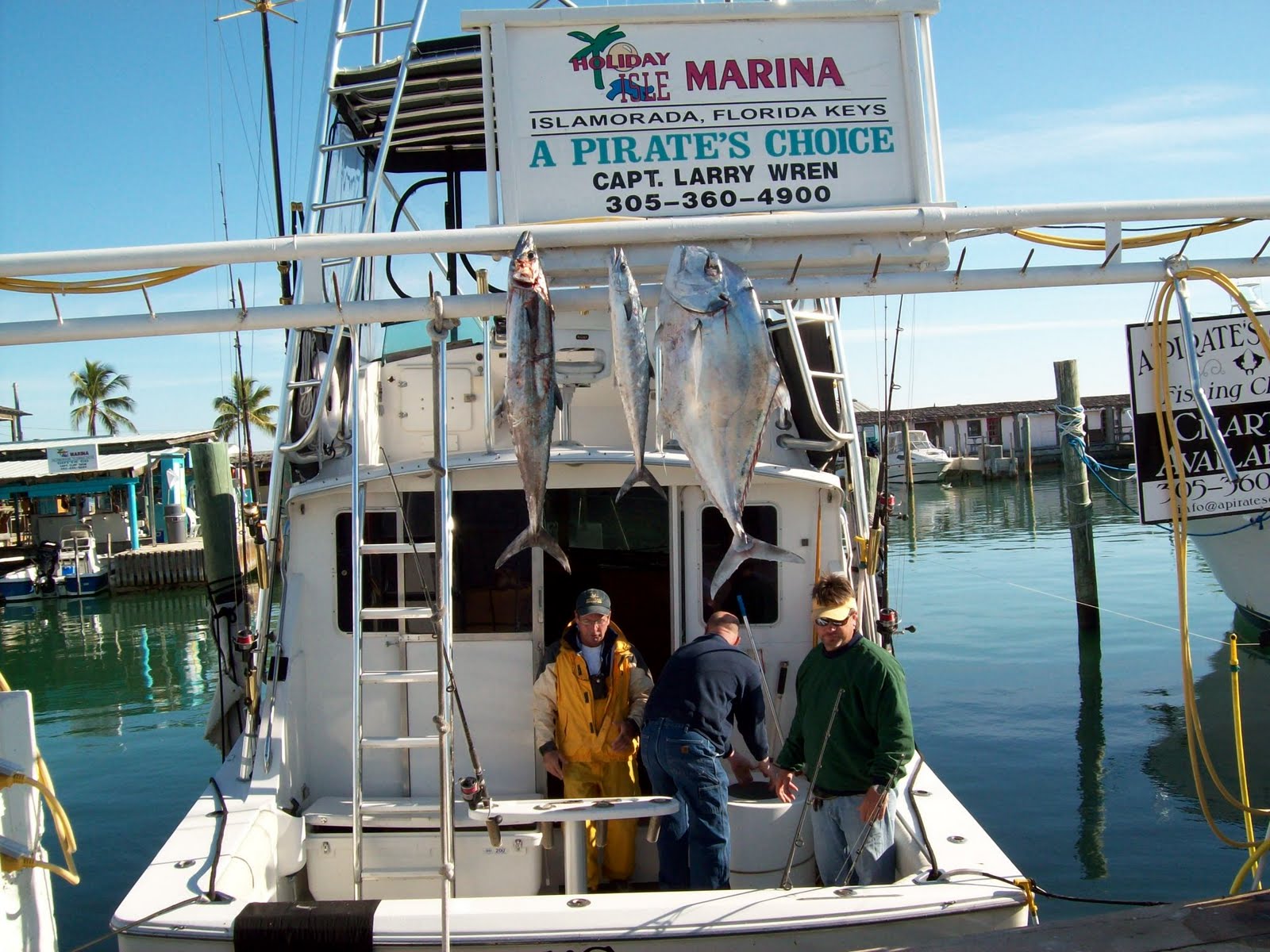 kingfish and african pompano