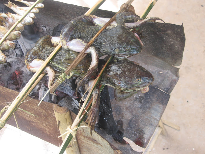 mmm roasted frogs