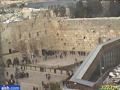 Kotel en directo