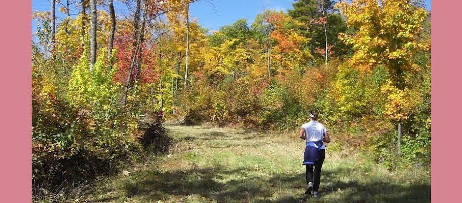 My Adventures In Training, Racing and Life