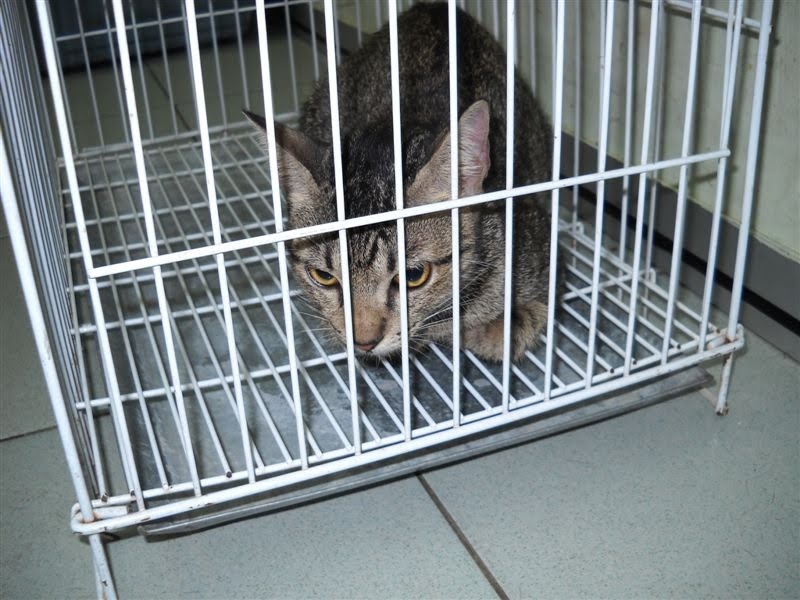 [Fm+Bukit+Bintang.JPG]