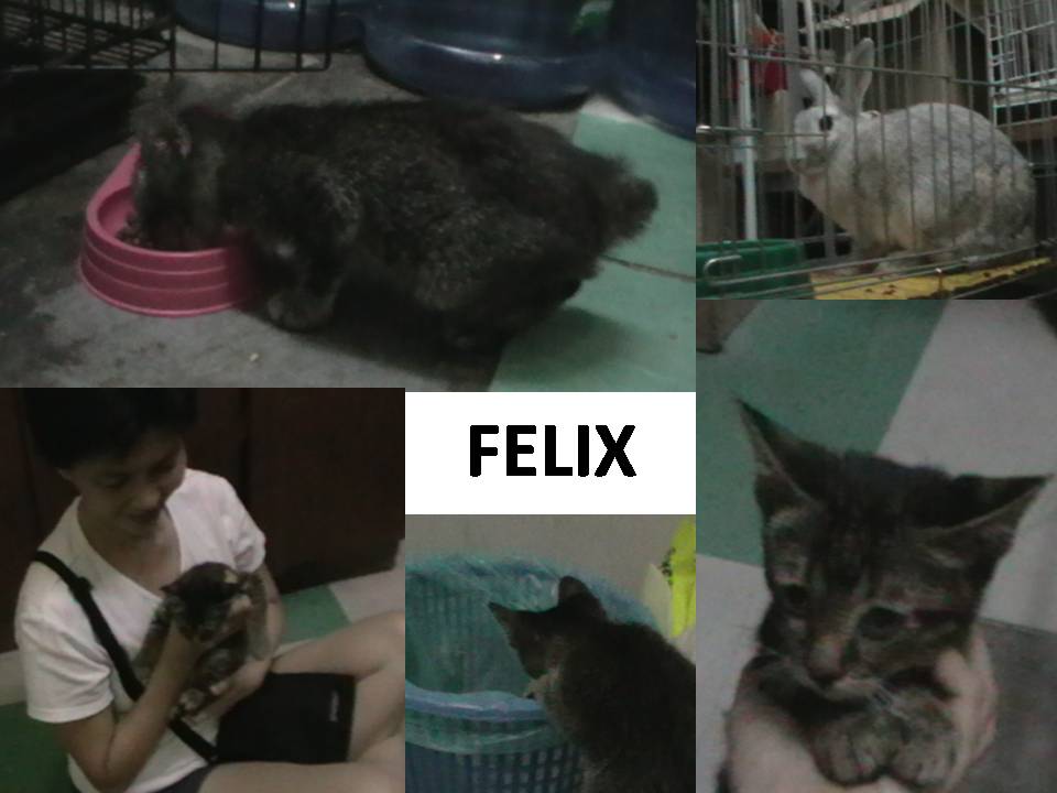 [Slide1.JPG]