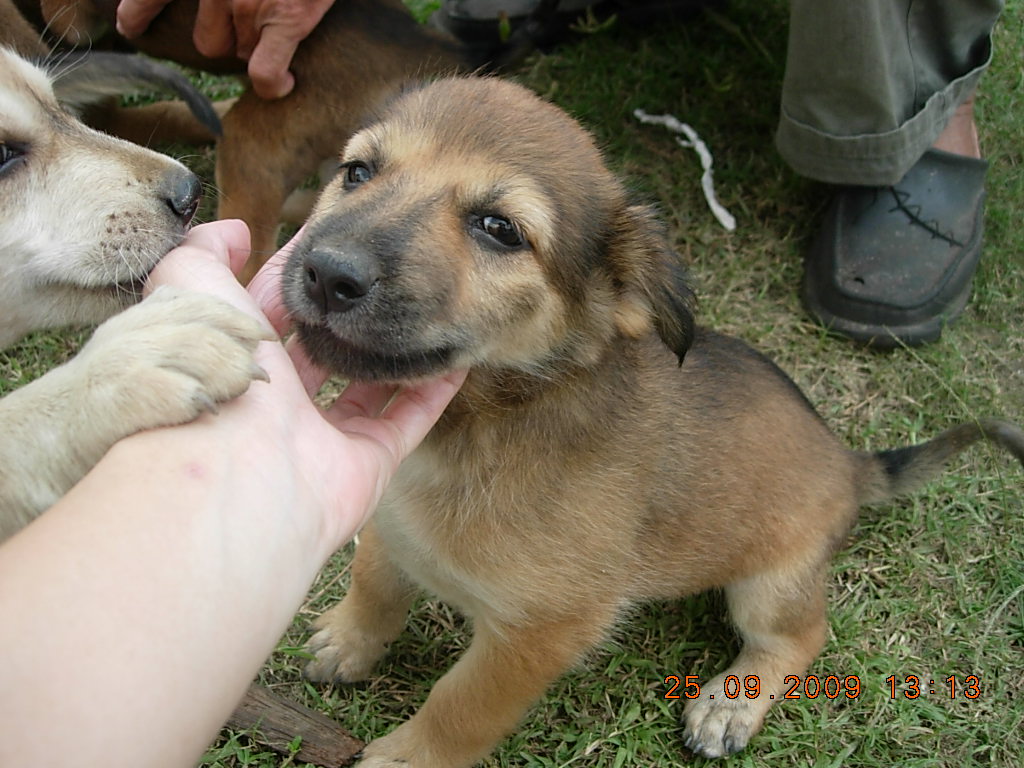 [Sasha++DSCN5370.JPG]