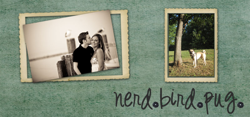 a nerd. a bird. and a pug.