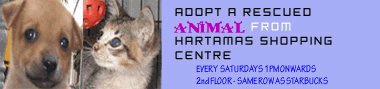 Adopt Rescued Animal