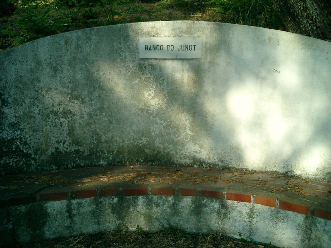 [CIMG0223.JPG]