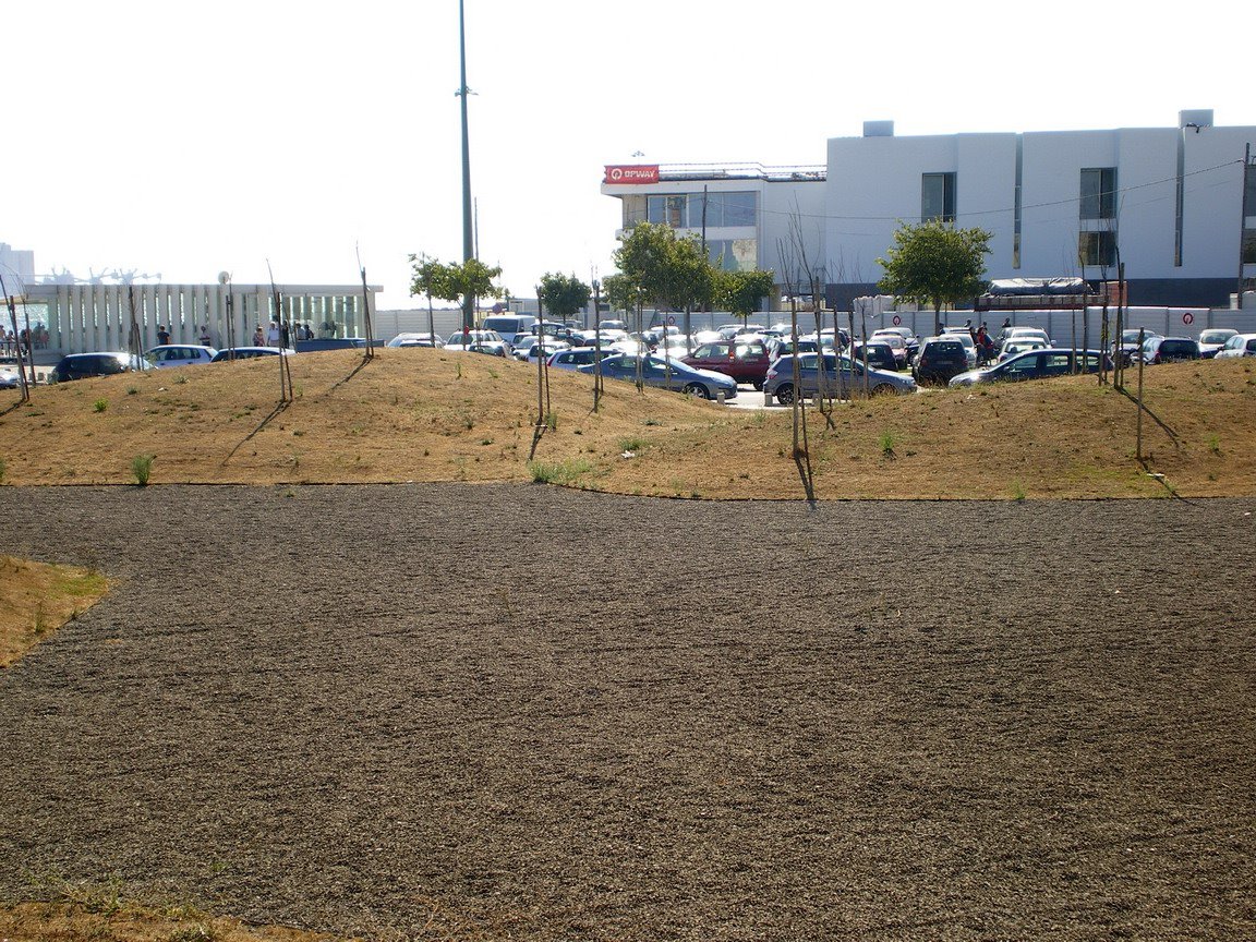 [IMGP3590_resize.JPG]