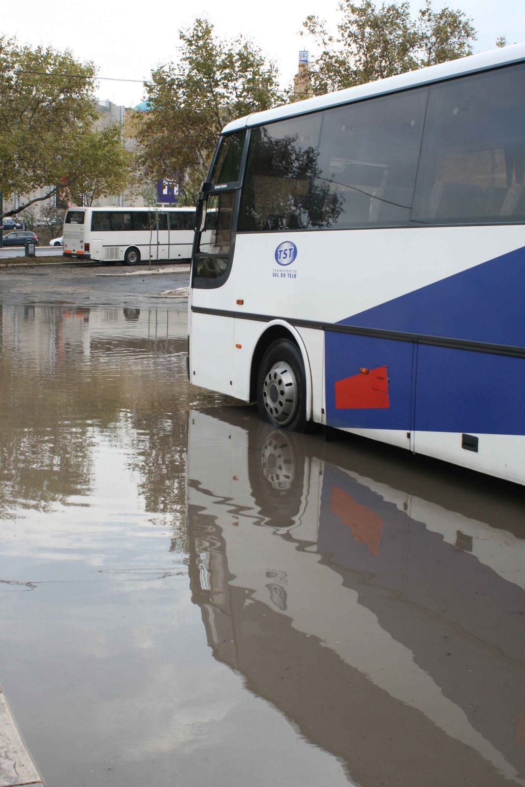 [Chuva+311.jpg]