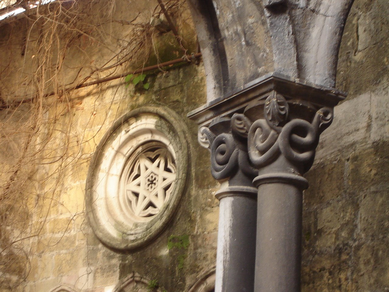 [26+DSC01123.JPG]