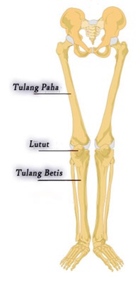 Kunci Jawaban Tts Cak Lontong Terlengkap Update 2020 Gamedaim