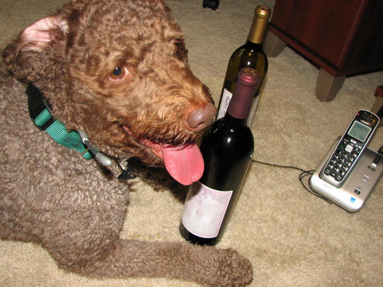 [Hello..Hello...+Chateau+Morrisette+Winery_1_1.JPG]