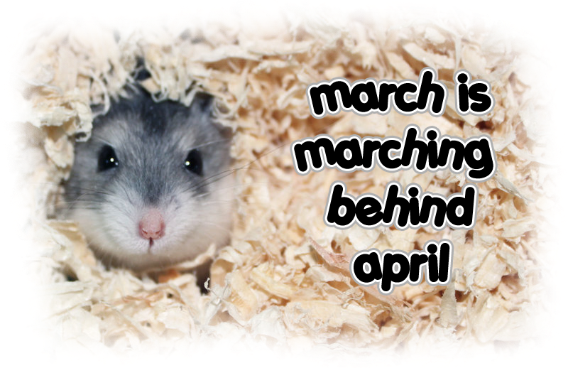 March is Marching Behind April