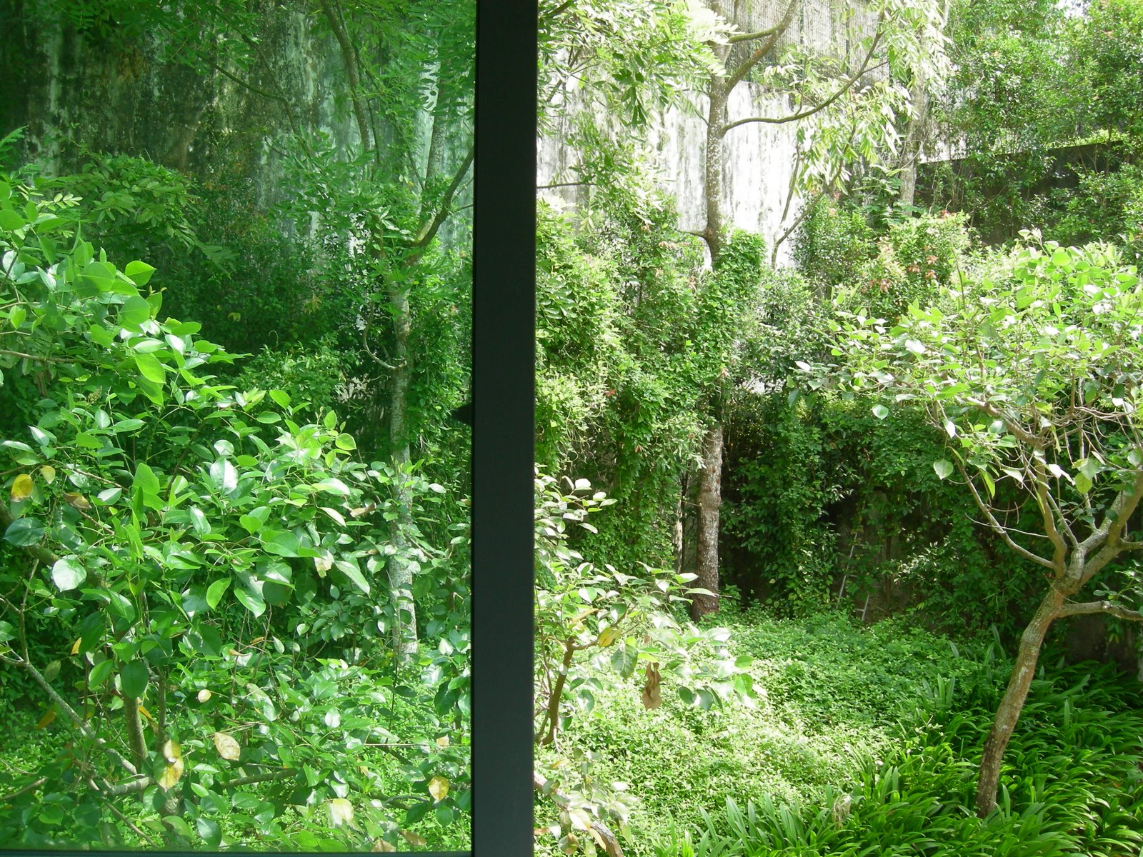 [DSCN2538.JPG]
