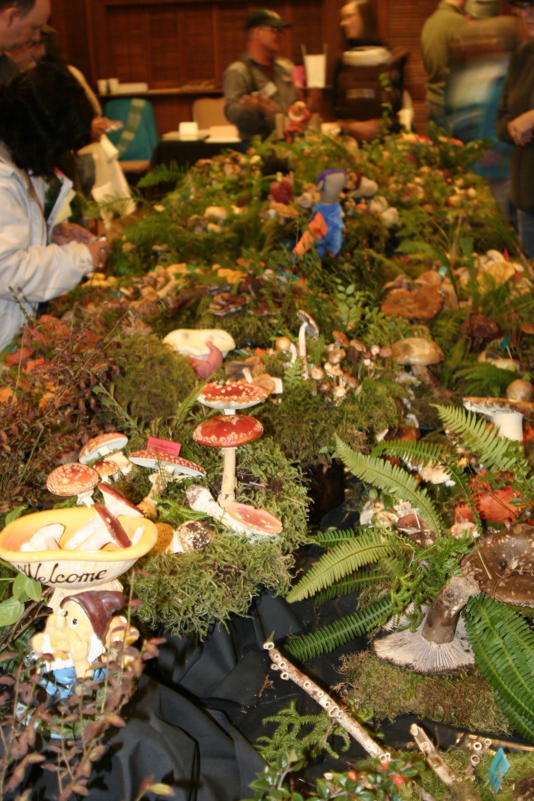 Farming Portland Local Food, Portland Sources Quinault Rain Forest