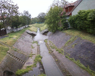 Kép