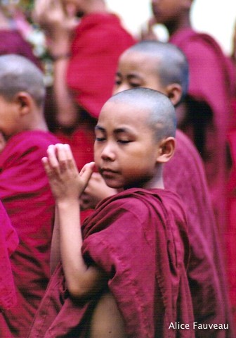 [Scan-090607-0296.jpg]