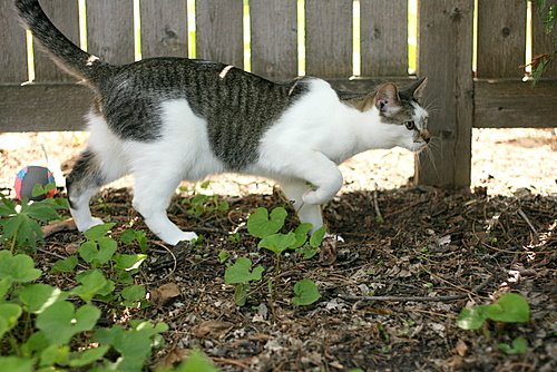 [IMG_2563.JPG]