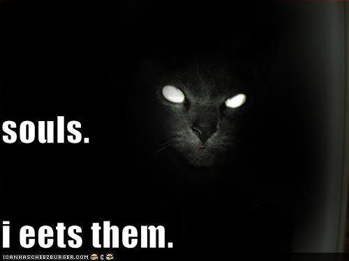 [basement-cat.jpg]