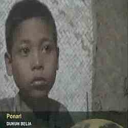 [ponari.jpg]