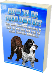 How To Be Your Own Vet