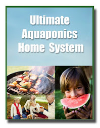 Ultimate Aquaponics Home System
