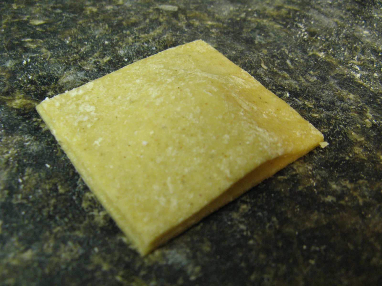 [20090415+8188.JPG]