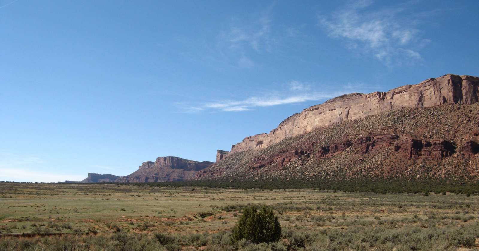 [IMG_8463.JPG]