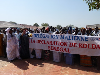 Members of the Malian delegation at the declaration.