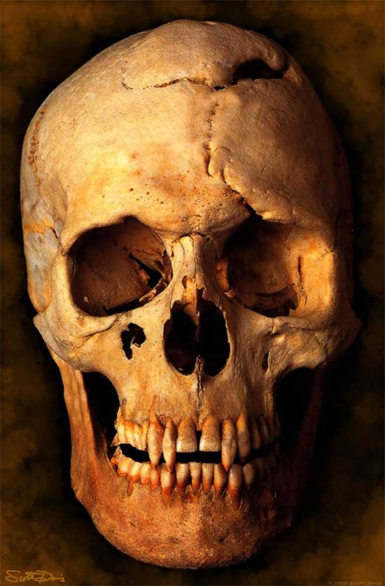 real vampire skull