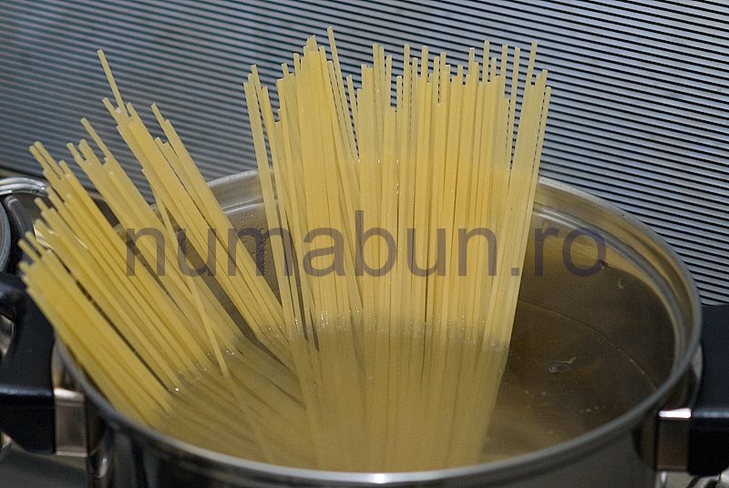 [paste_primavera-14.jpg]