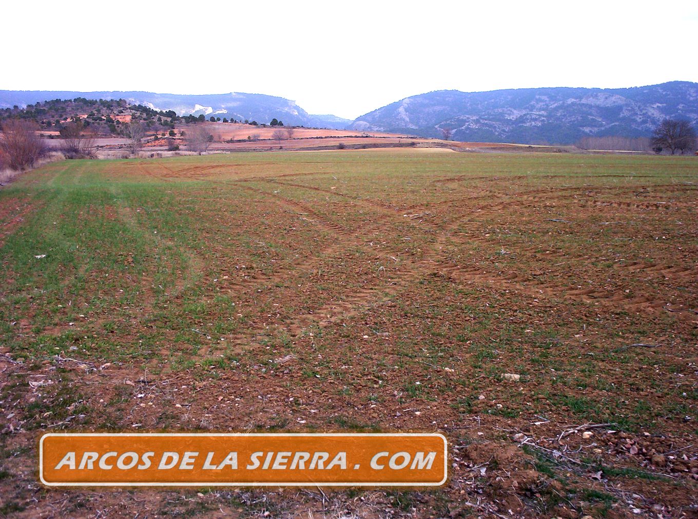 Campos y sierra al fondo